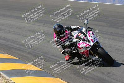 media/Mar-24-2023-Apex Assassins (Fri) [[54485cb5ff]]/Trackday 1/Session 2 (Bowl)/